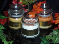 5oz Mini Dome Apothecary Container candle